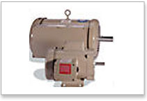 Baldor Electrical Motor - Farm Duty